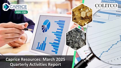 A multi-commodity story with potential near term gold production (19)